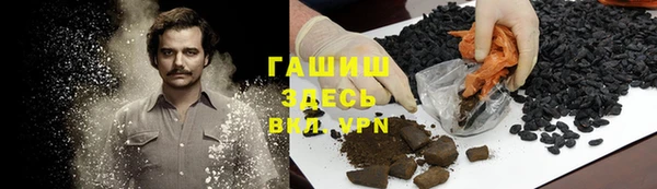 прущие грибы Верея